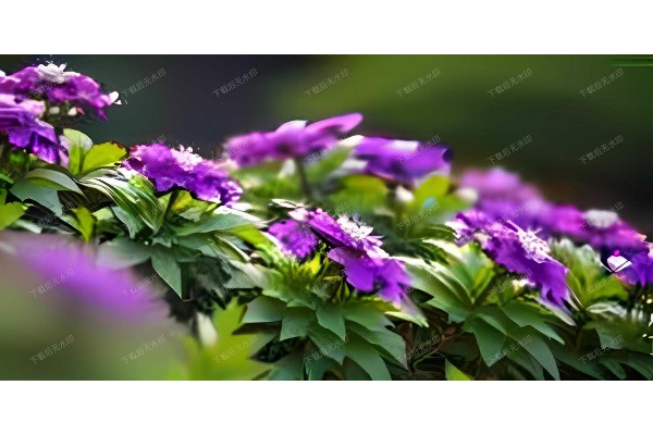 武汉夜色中，一盏茶香，慢享时光